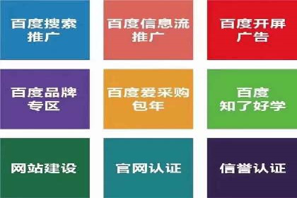 某品牌SEM推广策略的成效与启示
